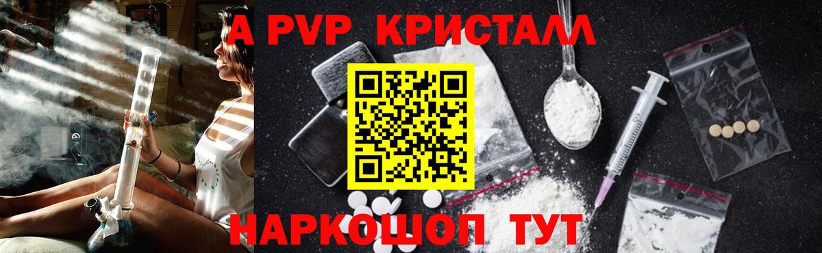 Бошки Шишки Энгельс