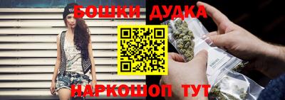 гидра Кимры