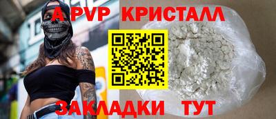 spice Кингисепп