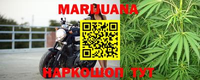 гидра Кимры