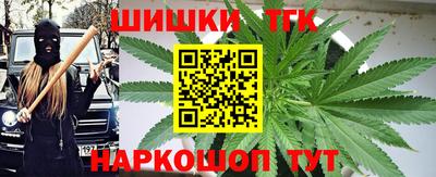 spice Кингисепп