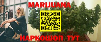 spice Кингисепп