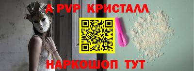spice Кингисепп