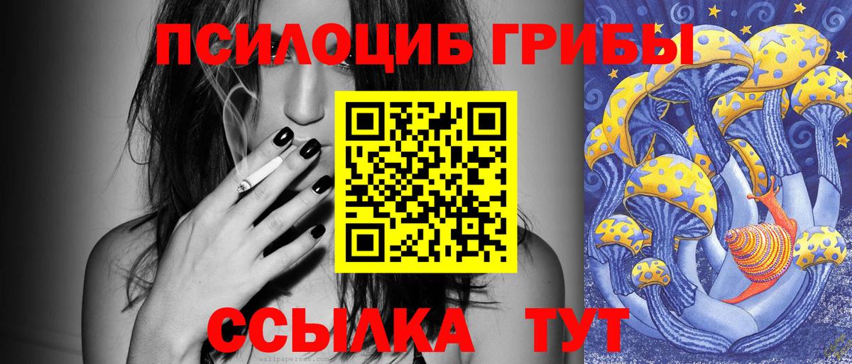 Энгельс  Псилоцибиновые грибы Psilocybe  купить наркотик  Вход с VPN 
